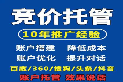 SEM代理操作技巧：成功案例揭秘